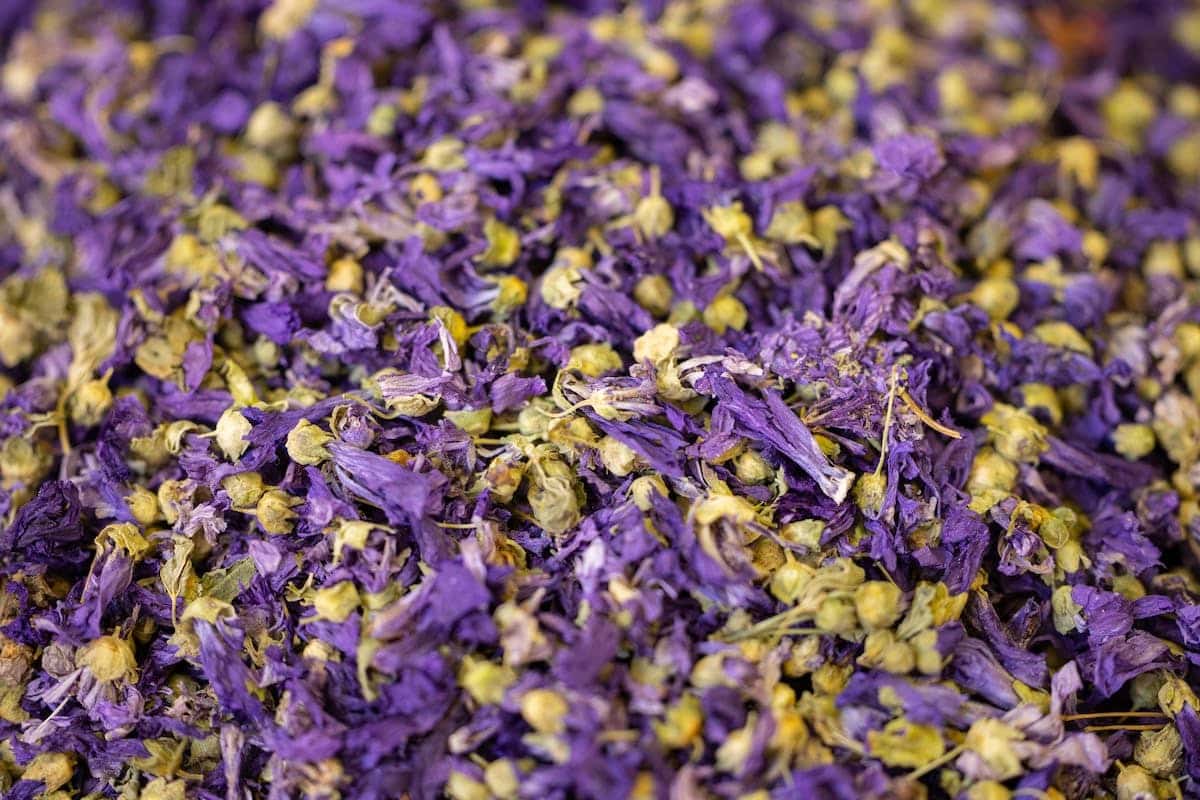 fleurs médicinales