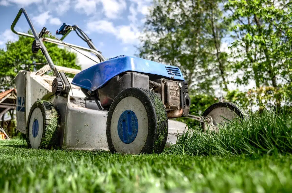 pelouse fertilisant