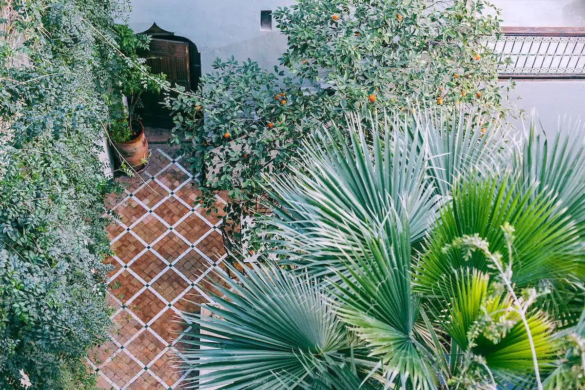 jardin écologique