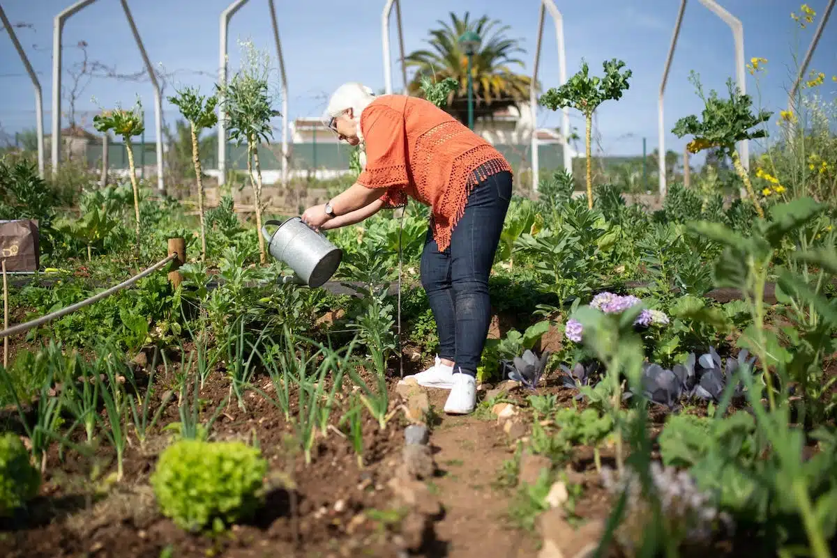 permaculture jardin