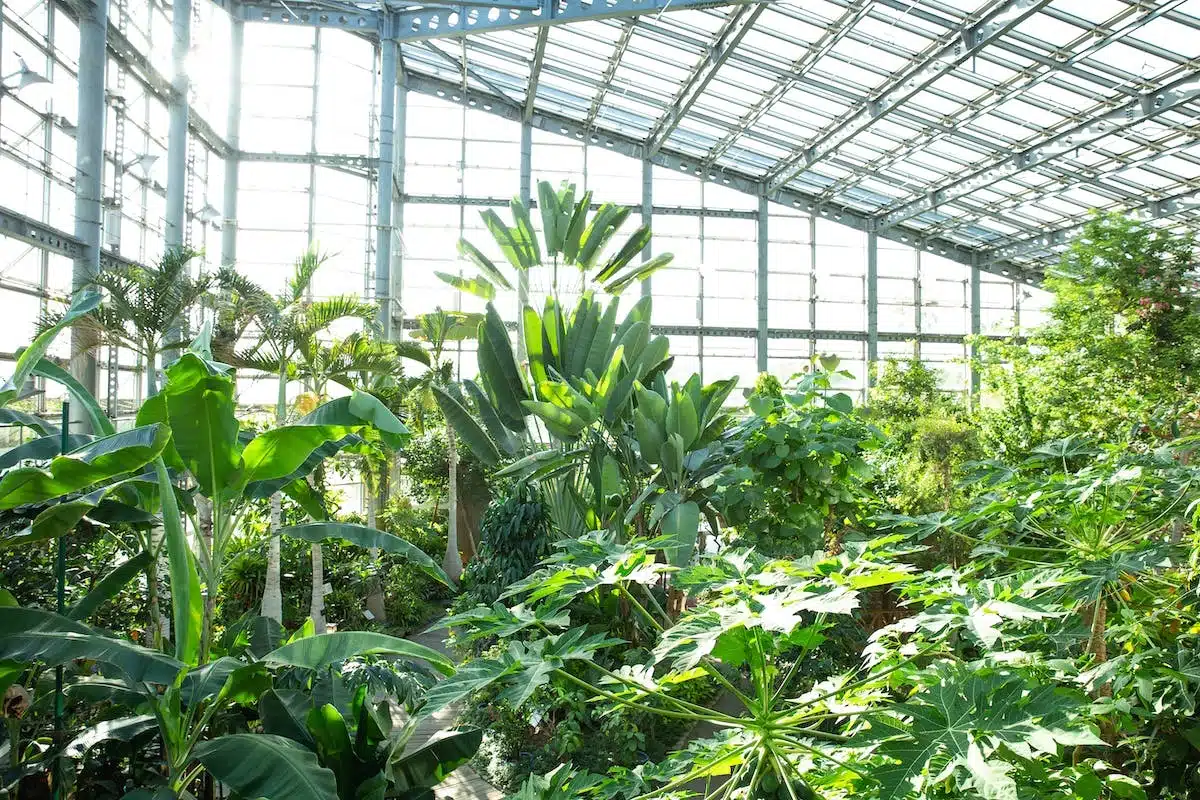jardin écologique