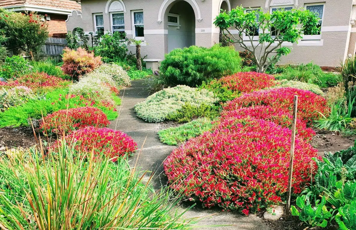 jardinage  tendances