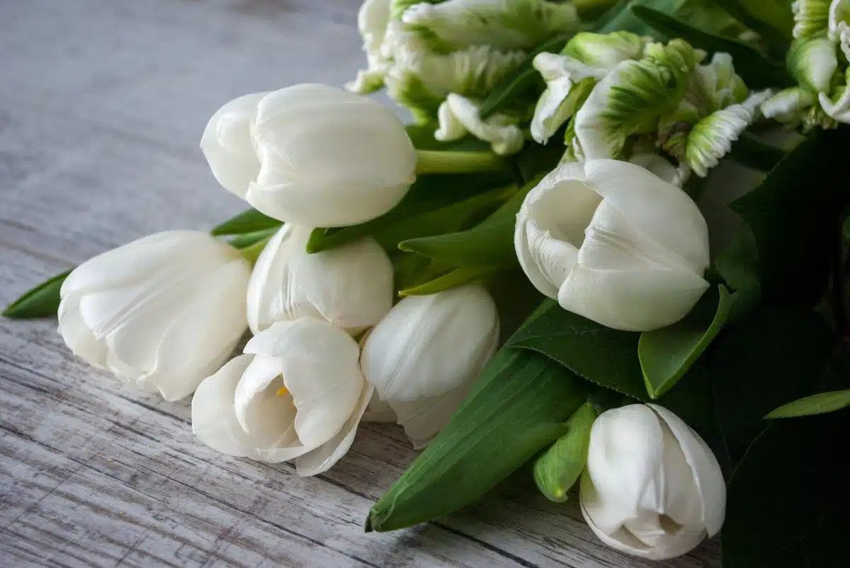 fleurs aromatiques