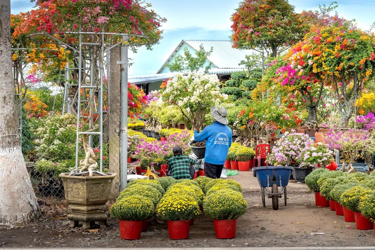 jardin  décoration