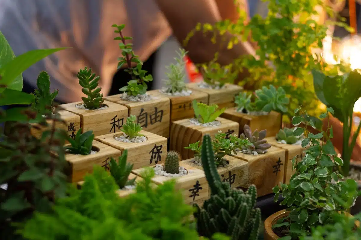 jardinage écologique