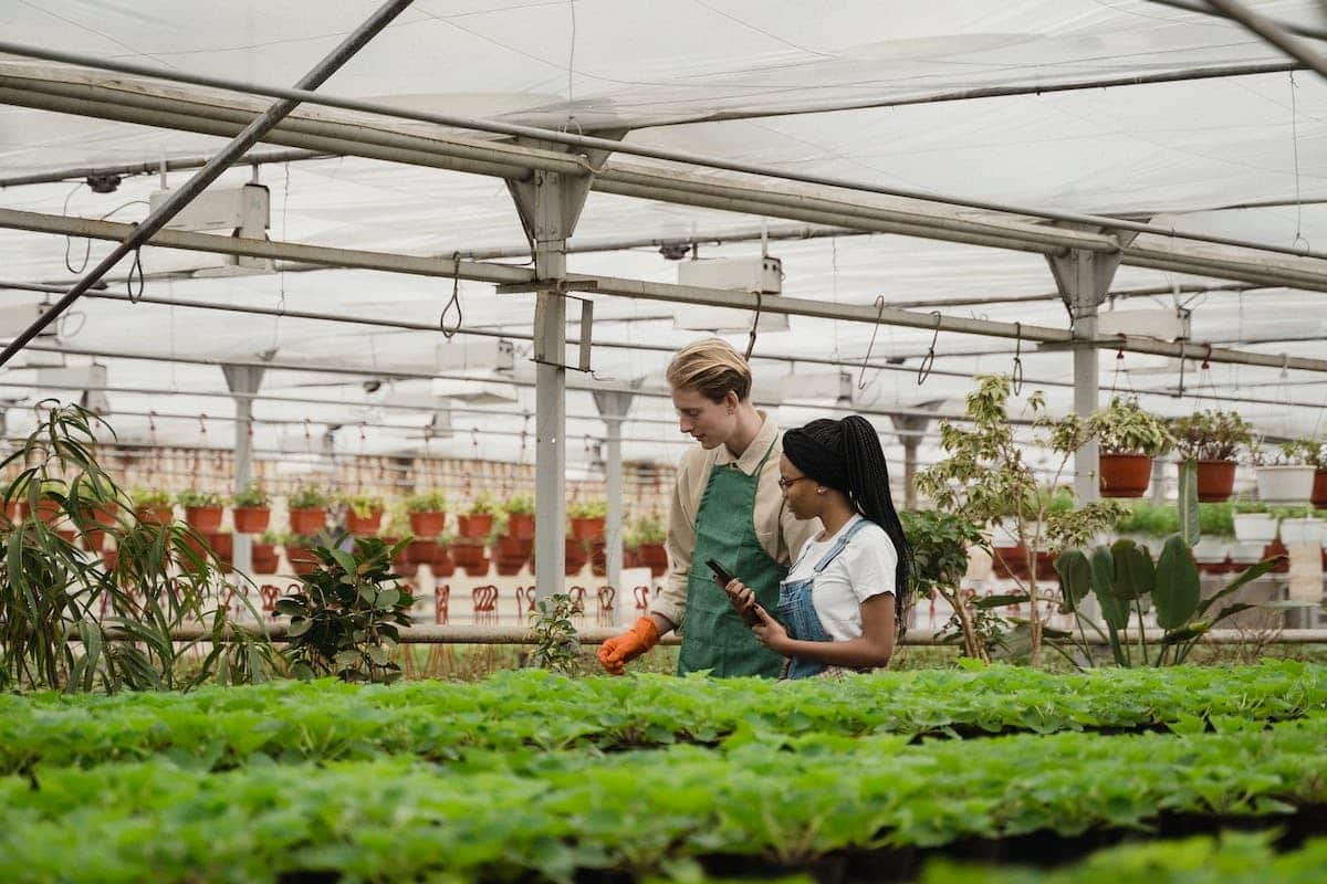 jardinage écologique