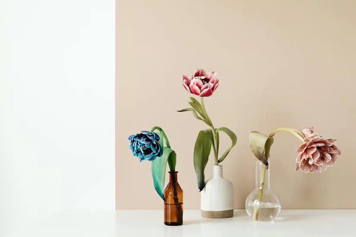 fleurs vase