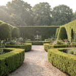 Allée de buis taillés dans un grand jardin à la française