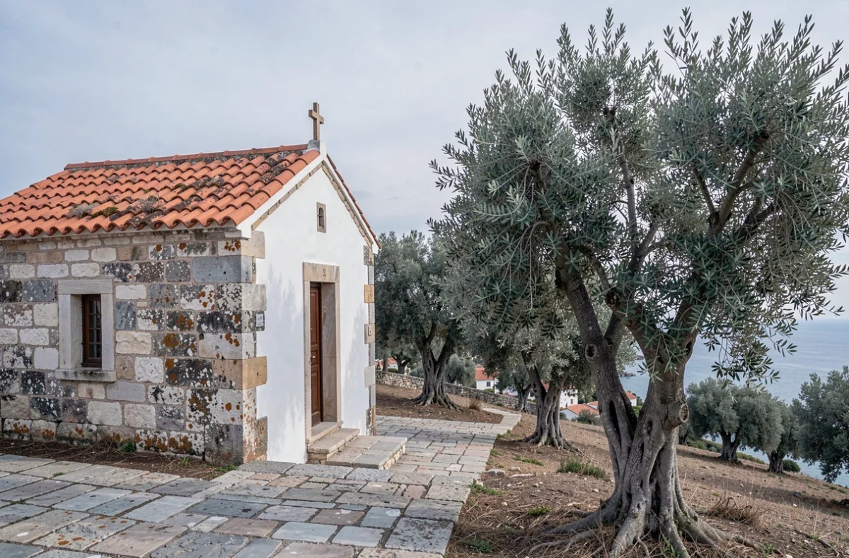 Chapelle orthodoxe en pierre entourée d'oliviers anciens en Méditerranée, illustrant le lien profond entre l'olivier et la spiritualité religieuse