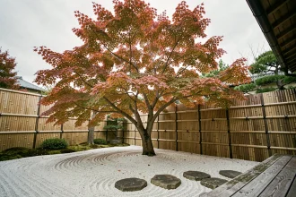 Érable japonais en automne dans un jardin zen avec gravier ratissé et pierres de pas