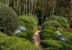 green plants on brown brick pathway