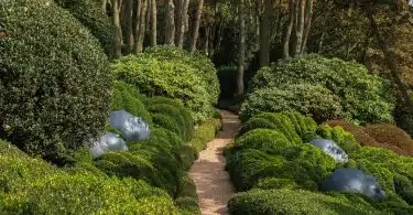 green plants on brown brick pathway