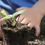 Livre de jardinage potager : apprendre les bases du jardinage potager
