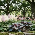 Massif ombragé fleuri en mai avec astilbe, hostas et cœur de Marie sous un couvert d'arbres