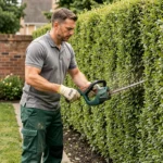 Jardinier professionnel en train de tailler une haie trois faces dans un jardin résidentiel